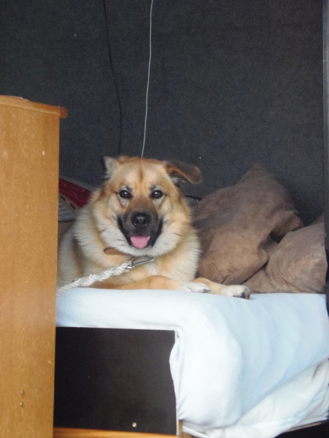 ../fotos/het_verlaat_2017/2017-07-10 20.34.10.jpg